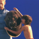Screenshot: Vimeo